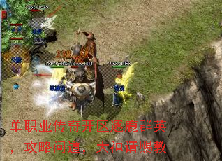 ְҵ濪¹ȺӢʵͽ