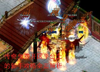 ѿƽ̨ϵֹȫ