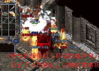 ˽ֻ湥ԴȫС׵ɳǵĹָ