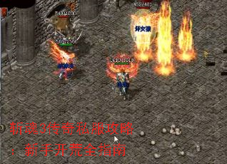 ն3˽ԣֿȫָ