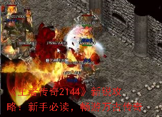 ߴ2144ԣֱضŴ