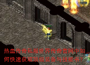 Ѫ˽紫οٻȡװ뼼飿