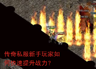 ����˽�����������ο�������ս����