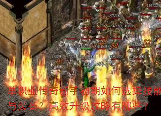 ְҵֳѡװЧЩ