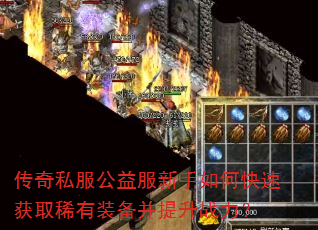 ����˽�������������ο��ٻ�ȡϡ��װ��������ս����