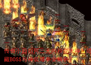 СBOSSװȫ