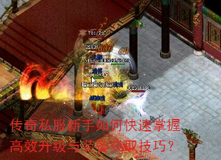 ����˽��������ο������ո�Ч������װ����ȡ���ɣ�