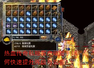 ��Ѫ����˽���ͻ���������ο��������ȼ���װ����