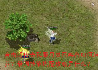ϻ洫˽ٻǿܴ乥ʲô