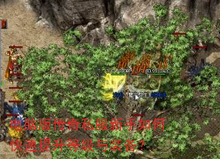 ���԰洫��˽��������ο��������ȼ���װ����