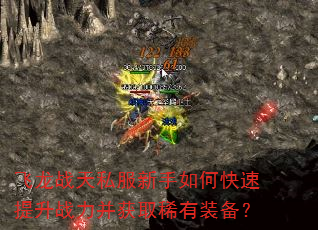 ����ս��˽��������ο�������ս������ȡϡ��װ����