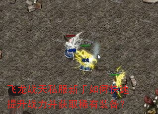 ����ս��˽��������ο�������ս������ȡϡ��װ����