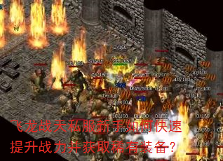 ����ս��˽��������ο�������ս������ȡϡ��װ����