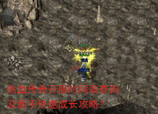 ��Ѫ���濪��ʱ�����ѯ�����ֿ��ٳɳ����ԣ�