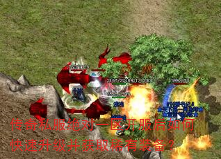 ����˽������һ����������ο�����������ȡϡ��װ����