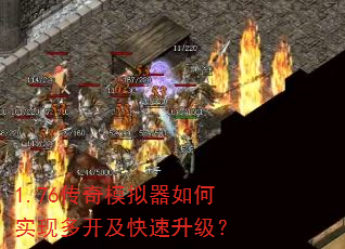 1.76ģʵֶ࿪