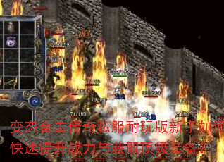 ̬ϻ˽οսȡװ