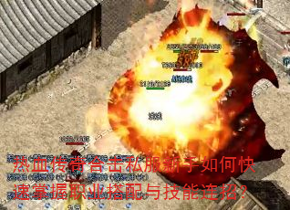 热血传奇合击私服新手如何快速掌握职业搭配与技能连招? 热血传奇合击私服新手如何快速掌握职业搭配与技能连招?