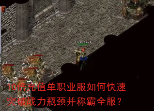 10倍充值单职业服如何快速突破战力瓶颈并称霸全服? 10倍充值单职业服如何快速突破战力瓶颈并称霸全服?