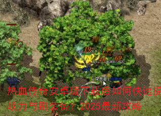 Ѫ氲׿غοսˢװ2025¹