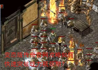 ��̬�洫�����������ο���ͻ��ս��ƿ���ڣ�