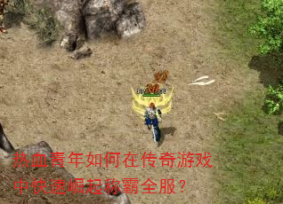 ��Ѫ��������ڴ�����Ϸ�п�������ư�ȫ����