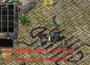 ��֮����˽��������ο�������ս�����ȡϡ��װ����