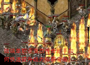 ΢�˵�ְҵ��̬����������ο�������ս���ư�ȫ����