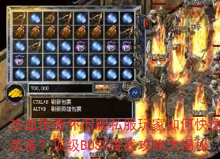 ��Ѫ���滳�ɷ�˽�������ο���ˢװ��������BOSS��ս���Դ����