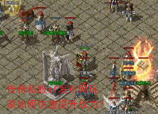 ����˽��sf�����������ο�������ս����