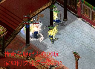 ����˽��sf�����������ο�������ս����