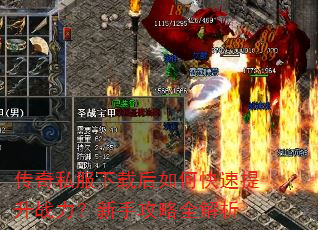 ����˽�����غ���ο�������ս�������ֹ���ȫ����