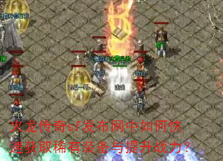 ��������sf����������ο��ٻ�ȡϡ��װ��������ս����