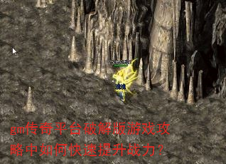 gm����ƽ̨�ƽ����Ϸ��������ο�������ս����