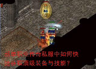 �µ�ְҵ����˽������ο��ٻ�ȡ����װ���뼼�ܣ�