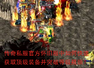 ����˽���ٷ����ɷ�����ο��ٻ�ȡ����װ����ͻ�Ƶȼ�ƿ����