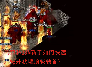 ����˽��M������ο�����������ȡ����װ����