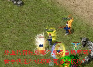 ��Ѫ����˽���ĸ����������ʸߣ����ֿ���������������Щ���ɣ�