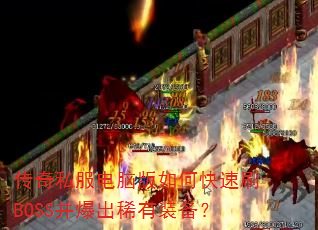 ����˽�����԰���ο���ˢBOSS������ϡ��װ����