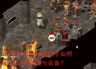 ���ɰ洫��˽��������ο��������ȼ���װ����