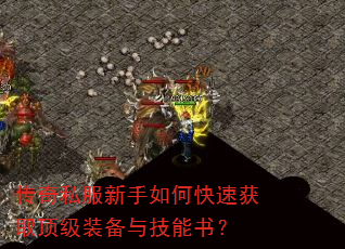 ����˽��������ο��ٻ�ȡ����װ���뼼���飿