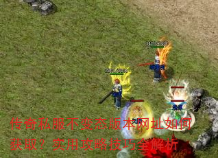 ����˽������̬�汾��ַ��λ�ȡ��ʵ�ù��Լ���ȫ����