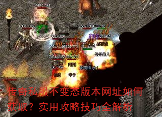 ����˽������̬�汾��ַ��λ�ȡ��ʵ�ù��Լ���ȫ����