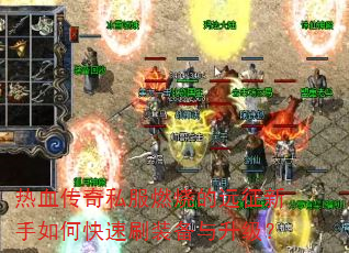 ��Ѫ����˽��ȼ�յ�Զ��������ο���ˢװ����������