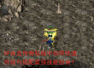 SF�ϻ�����˽������ο��������������ǿ������ϣ�