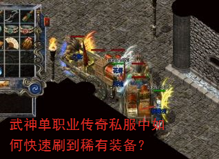 ����ְҵ����˽������ο���ˢ��ϡ��װ����