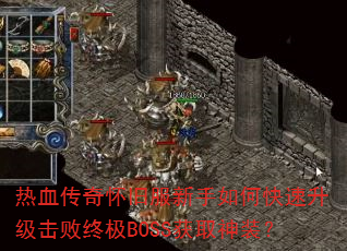 ��Ѫ���滳�ɷ�������ο������������ռ�BOSS��ȡ��װ��