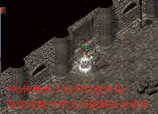 996����������ο�����������Ч�����볣��������ȫ��¼