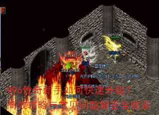 996����������ο�����������Ч�����볣��������ȫ��¼