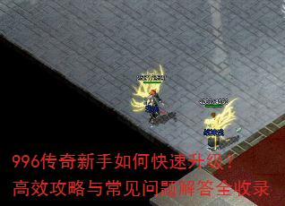 996����������ο�����������Ч�����볣��������ȫ��¼